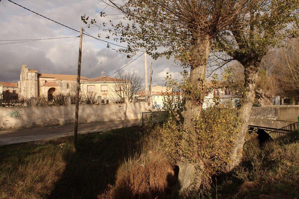 Fotografía de la galería de imágenes con id: 861